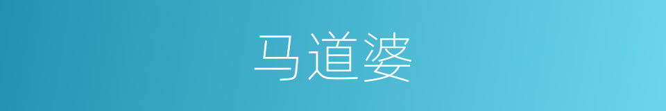 马道婆的同义词