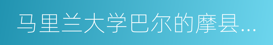 马里兰大学巴尔的摩县分校的同义词