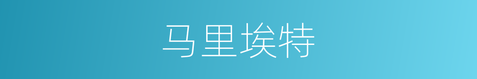 马里埃特的同义词