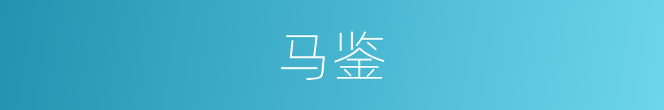 马鉴的同义词