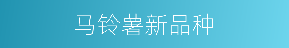 马铃薯新品种的同义词