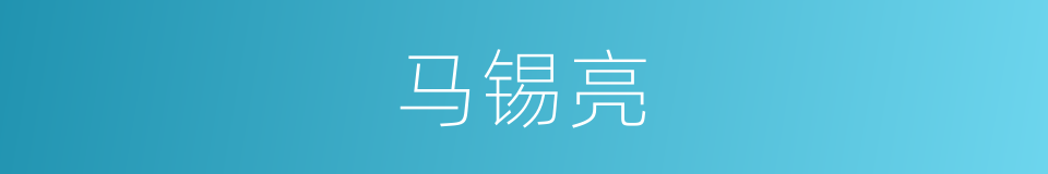 马锡亮的同义词