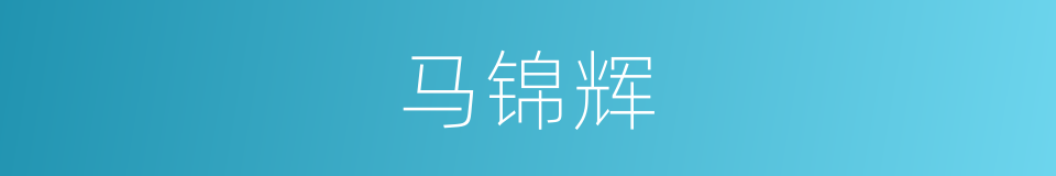 马锦辉的同义词