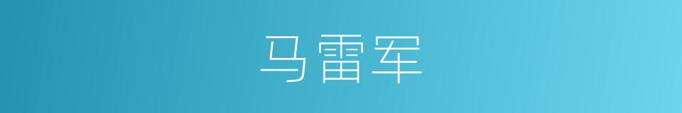 马雷军的同义词
