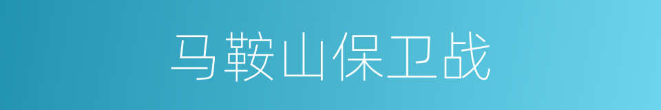 马鞍山保卫战的同义词