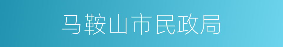 马鞍山市民政局的同义词