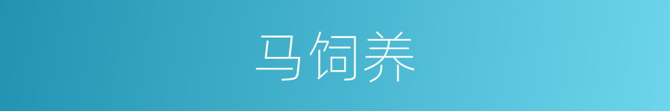 马饲养的同义词