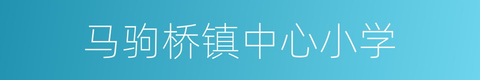 马驹桥镇中心小学的同义词