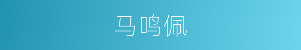 马鸣佩的同义词