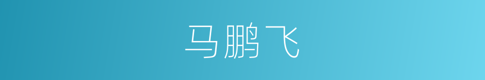 马鹏飞的同义词