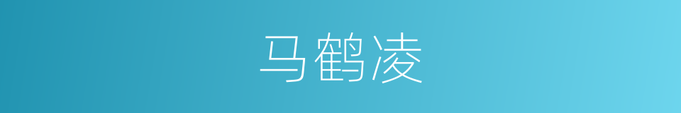马鹤凌的同义词
