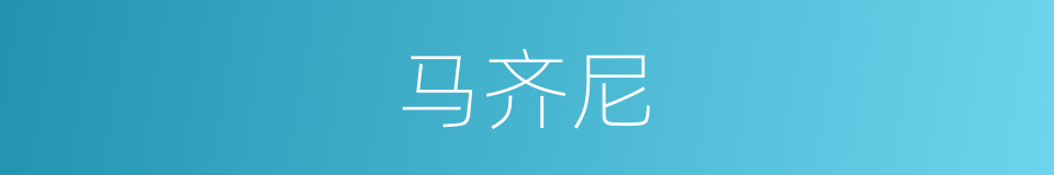 马齐尼的同义词