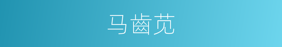 马齒苋的同义词