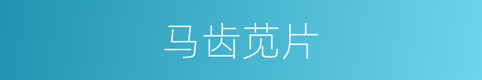 马齿苋片的同义词
