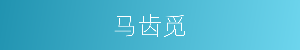 马齿觅的同义词