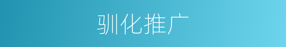 驯化推广的同义词