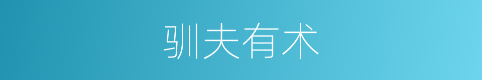 驯夫有术的同义词