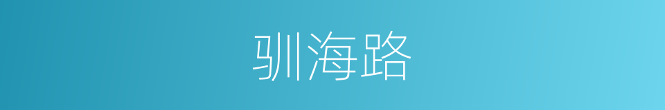 驯海路的同义词