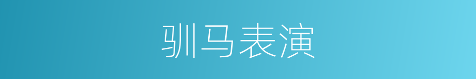 驯马表演的同义词