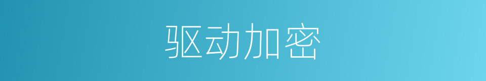 驱动加密的同义词