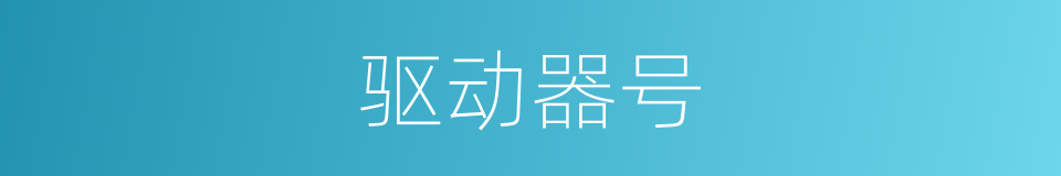 驱动器号的同义词