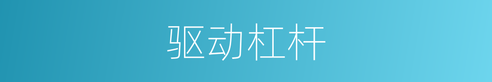 驱动杠杆的同义词