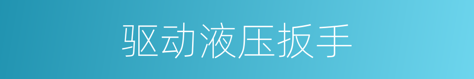 驱动液压扳手的同义词