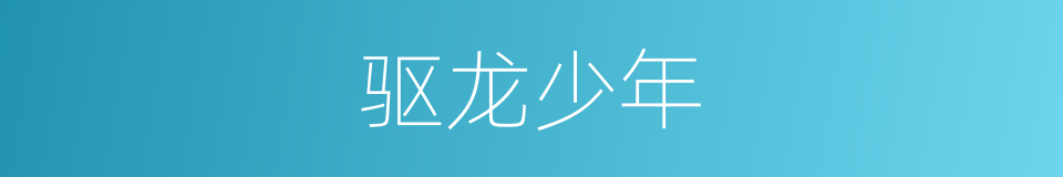 驱龙少年的同义词