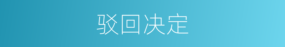 驳回决定的同义词