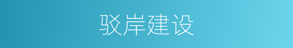 驳岸建设的同义词