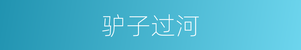 驴子过河的同义词