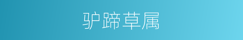 驴蹄草属的同义词