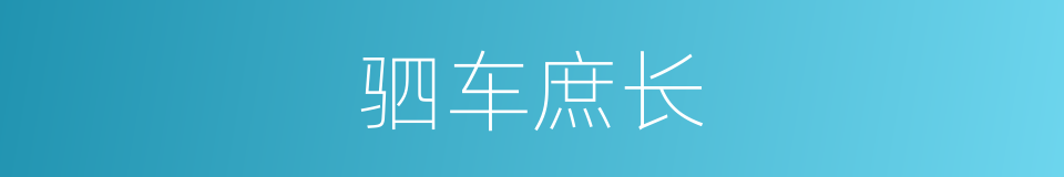 驷车庶长的同义词