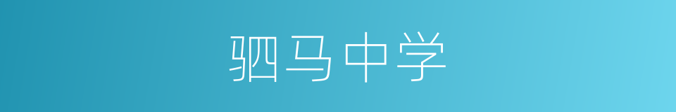 驷马中学的同义词
