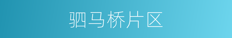 驷马桥片区的同义词