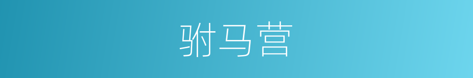 驸马营的同义词
