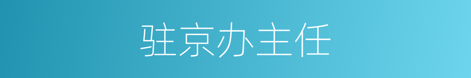 驻京办主任的同义词