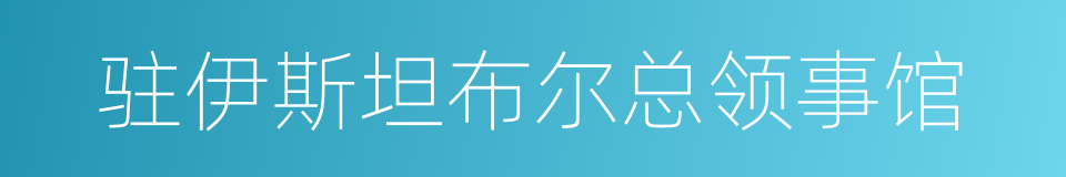 驻伊斯坦布尔总领事馆的同义词