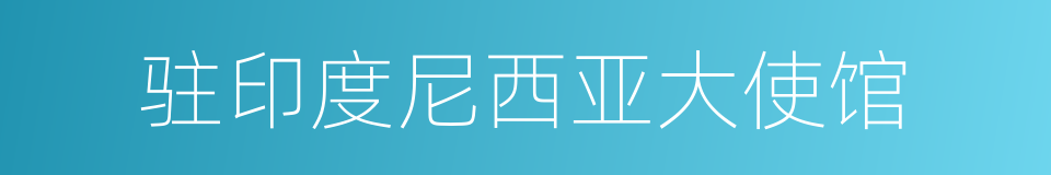 驻印度尼西亚大使馆的同义词