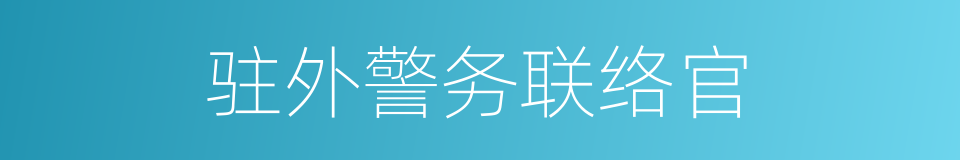 驻外警务联络官的同义词