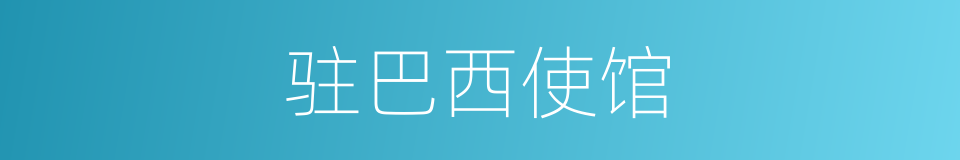 驻巴西使馆的同义词