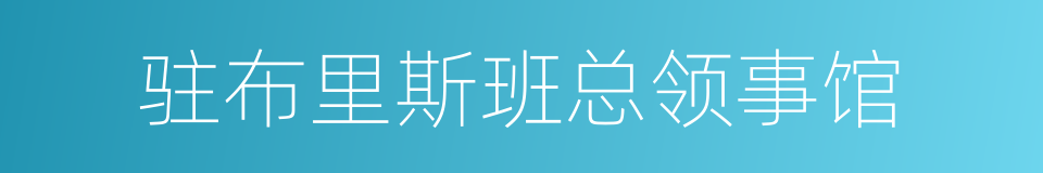 驻布里斯班总领事馆的同义词