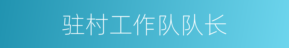 驻村工作队队长的同义词