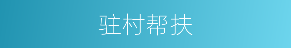 驻村帮扶的同义词