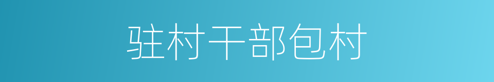 驻村干部包村的同义词