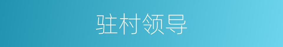 驻村领导的同义词