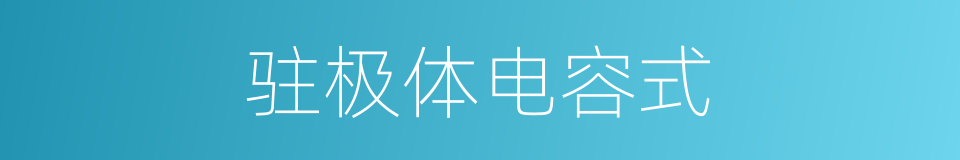 驻极体电容式的同义词