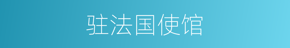 驻法国使馆的同义词
