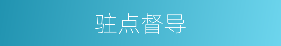 驻点督导的同义词