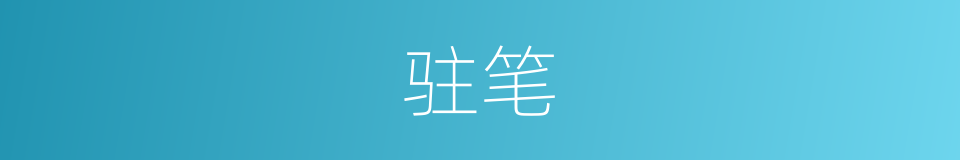驻笔的同义词